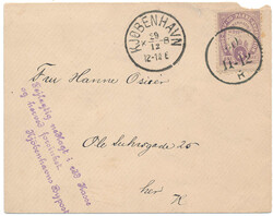 2355: Denmark - Private postal stamps