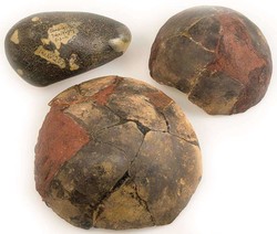 10: Ancient Coins