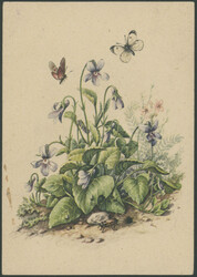 ZURÜCK - Bildpostkarten, Drucksachen und Geschäftspapiere nicht ...