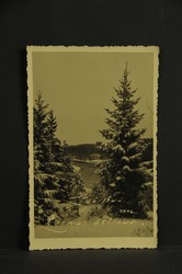 7090: Collections and Lots Baltic States