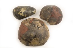 10: Ancient Coins