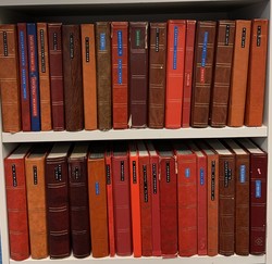 7365: Collections and Lots America