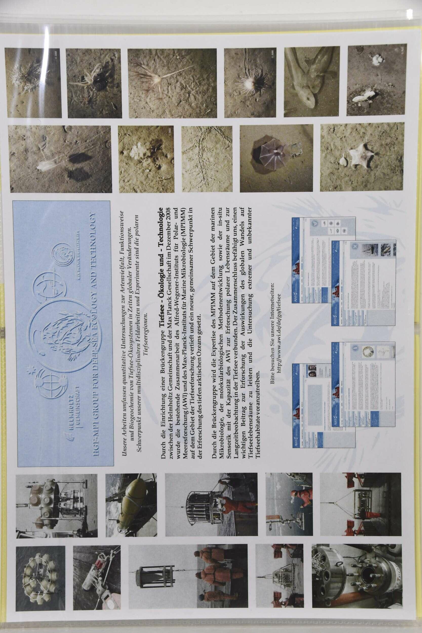 Image 44 for lot number 5620 for Ulrich Felzmann 185th Auction