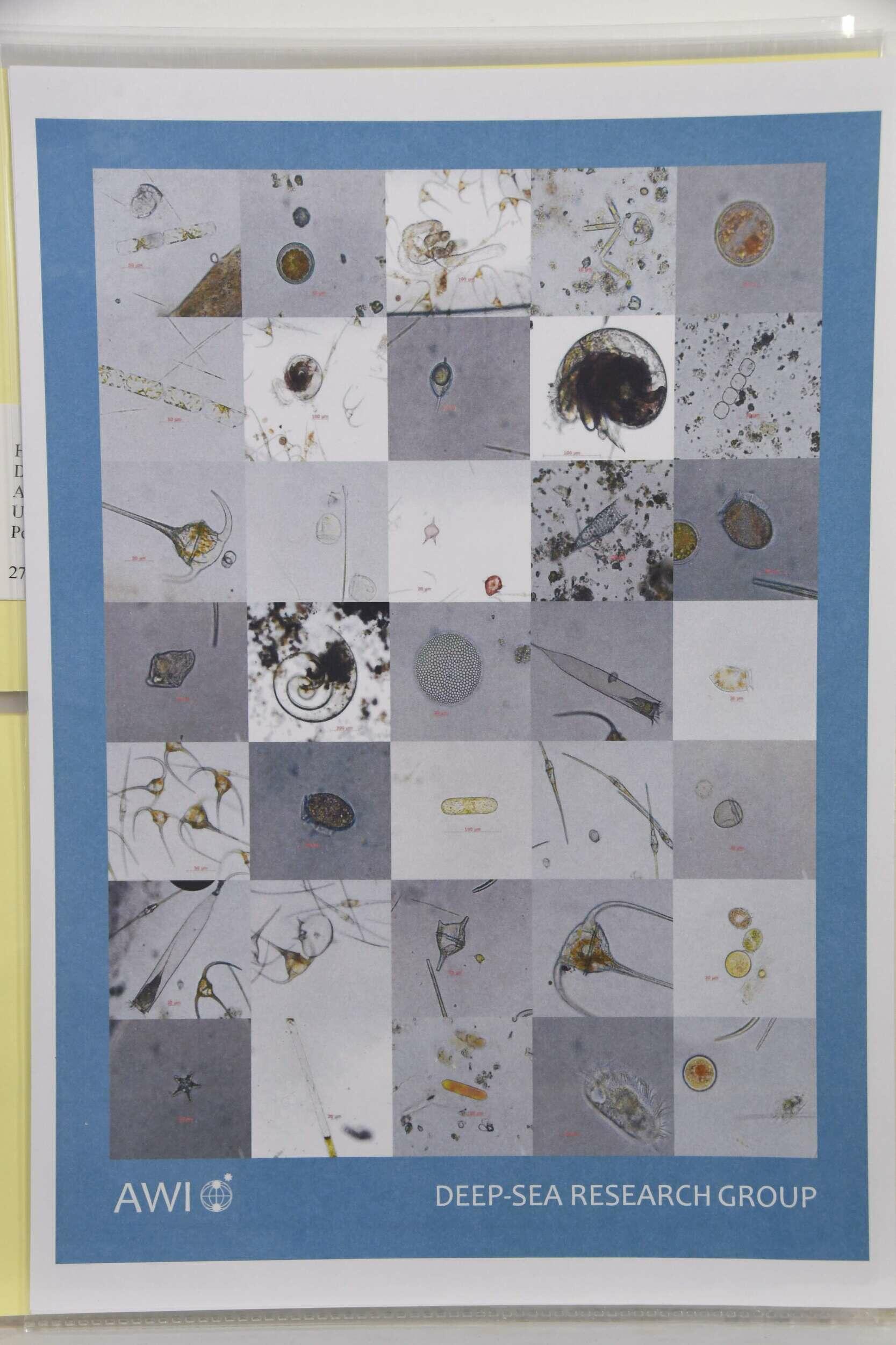 Image 45 for lot number 5620 for Ulrich Felzmann 185th Auction