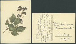 40.15: Bücher - Autografen, Autografen