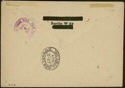 2 Pfg bis 5 Mk Schwarzaufdruck, 20 Werte komplett verteilt auf zwei ...