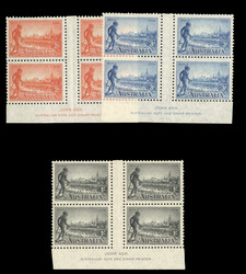 6655: ヴィクトリア