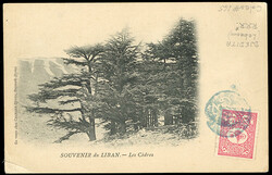 LEBANON 1904 picture postcard to France, franked with 20pa carmine, ...