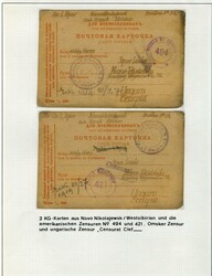 Siberia Prisoner of War Mail 1918-20 selection of 9 covers or cards, ...