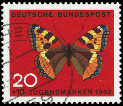841520: Tiere, Insekten, Schmetterlinge