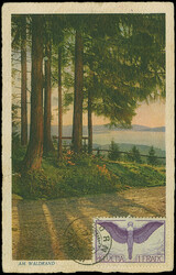 Schweiz: 1929, Weltrundfahrt, Etappe Friedrichshafen - Los Angeles, ...