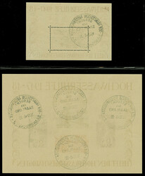 Hochwasser-Blockpaar mit Sonderstempel "DER FRANZÖSISCHE ...