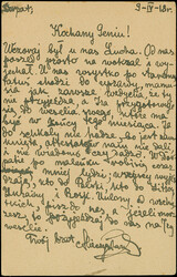 "Dorpat", kleiner violetter Notstempel-L1 als Entwerter auf ...