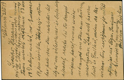 "ВОЛЬМАРЬ 21.2.19" (WOLMAR) klar auf Ganzsachenkarte 10 ...