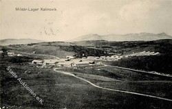 1925: Bosnien-Herzegowina (Republik)