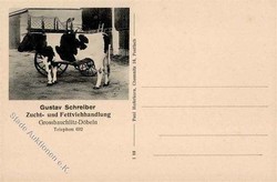 183520: Exhibitions/Events, Gardening/Agriculture, Agriculture Exhibitions