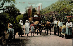 Teneriffa (Spanien) Campesinos I-II  Automatically generated ...