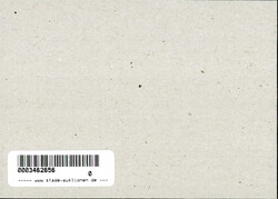 Zeppelin Sowjetunion Luftschiffbau 1931 ungezähnt, Falz*