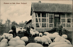 103030: Germany West, Zip Code W-29, 303 Walsrode - Picture postcards