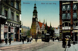 4945: 波蘭 - Picture postcards