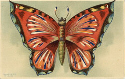 Mechanik-Karte Schmetterling, Depose D.R.G.M. I-II