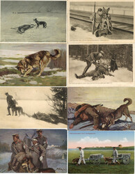 WK I Diensthunde / Rot-Kreuz-Hunde Lot mit 15 AKAutomatically ...