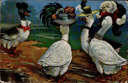 Thiele, Arthur Wer die Wahl hat, hat die Qual, Enten, TSN Serie 919, ...