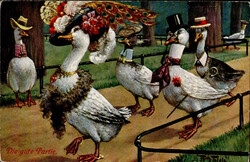 Thiele, Arthur Die gute Partie, Enten, TSN Serie 919, I-II  ...