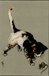 841025: Tiere, Säugetiere, Katzen