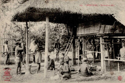 6665: Vietnam North and Republic - Picture postcards