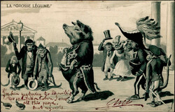 Losabbildung
