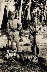 Jagd Tiger I-IIAutomatically generated translation:Chase tiger I-II