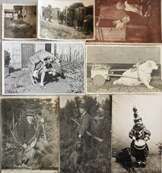 Fotographie SCHNAPPSCHÜSSE Sammlung im Album mit circa 650 Fotos ...