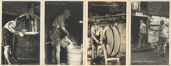 183520: Exhibitions/Events, Gardening/Agriculture, Agriculture Exhibitions
