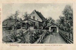 4945: Poland - Picture postcards