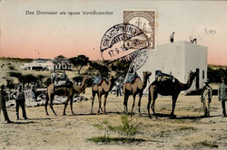 244035: History, German Colonies, Southwest Africa