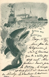 841035: Tiere, Säugetiere, Wale, Delfine