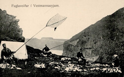 2475: Färoer - Postkarten