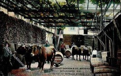 5255: Portugal - Picture postcards