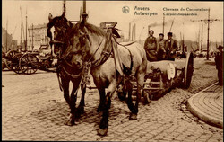 130020: Belgium, Province Antwerp (2XXX) - Picture postcards