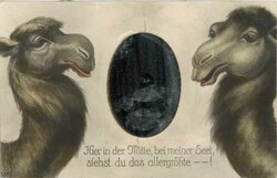 SPIEGELKARTE - KAMEL-KARTE in der Mitte Spiegel - Hier in der Mitte ...