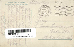 ELFENBEIN - ANTWERPEN Elefantenzähne I