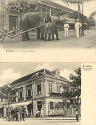 Siam (Thailand) - 2 versch. Ak the working ELEFANT I  Automatically ...