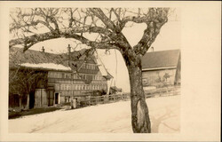 TROGEN (Appenzell Ausserrhoden) - Foto-Ak M. Tuchschmid -BIRCH I
