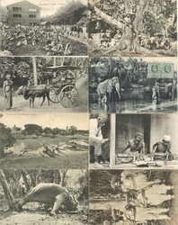 CEYLON - 12 versch. alte Ansichtskarten I-IIAutomatically generated ...