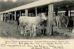 183520: Exhibitions/Events, Gardening/Agriculture, Agriculture Exhibitions