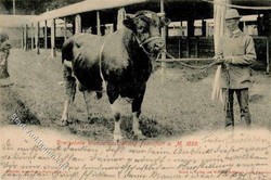 183520: Exhibitions/Events, Gardening/Agriculture, Agriculture Exhibitions