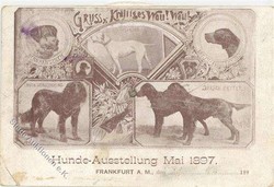 204020: Picture Postcards, Special Cards, Mechanic Cards/Puzzle