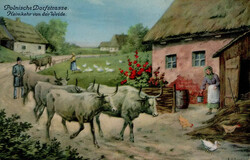 183520: Ausstellungen/Ereignisse, Gartenbau/Landwirtschaft,<br /></br>Landwirtschaftsausstellung