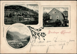 Dörrberg (o-5214) Gasthaus Dörrberger Hammer 1904 I-II  ...